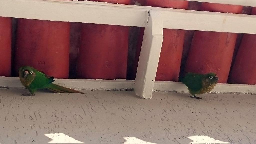 Gavea Bnb Ρίο ντε Τζανέιρο Εξωτερικό φωτογραφία